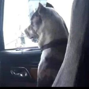 Meet your Posher, Ubeda